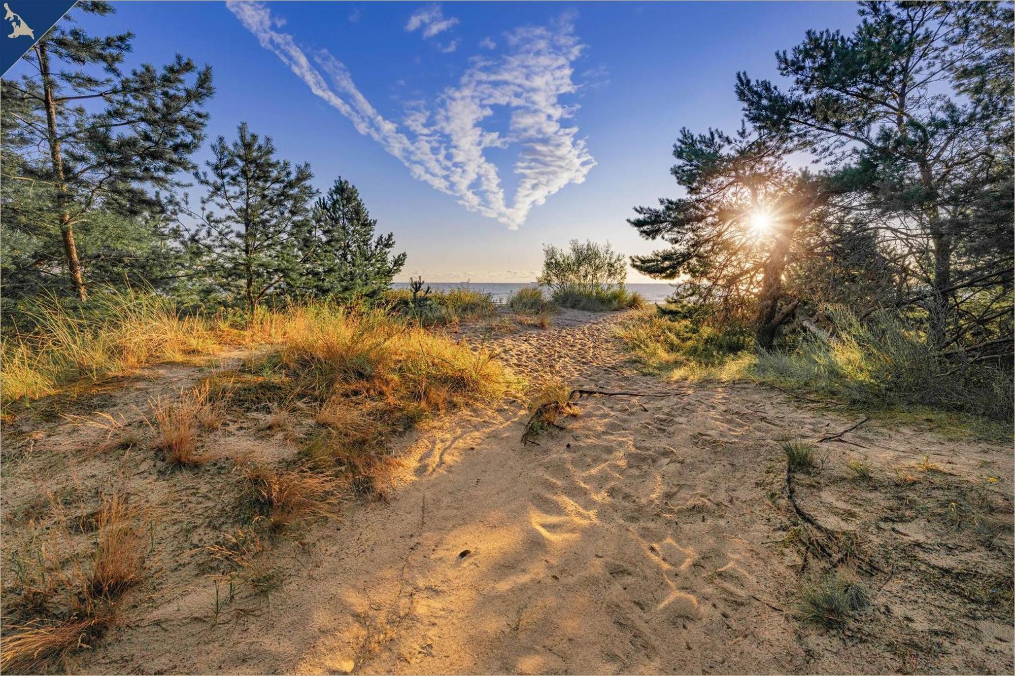 Nur 100M Zum Strand Fewo Ostseeflair By Pro Home Appartements Zempin Dış mekan fotoğraf